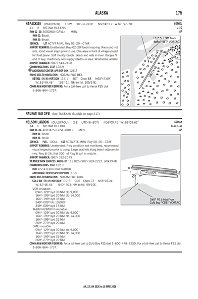 NELSON LAGOON - Airport Diagram